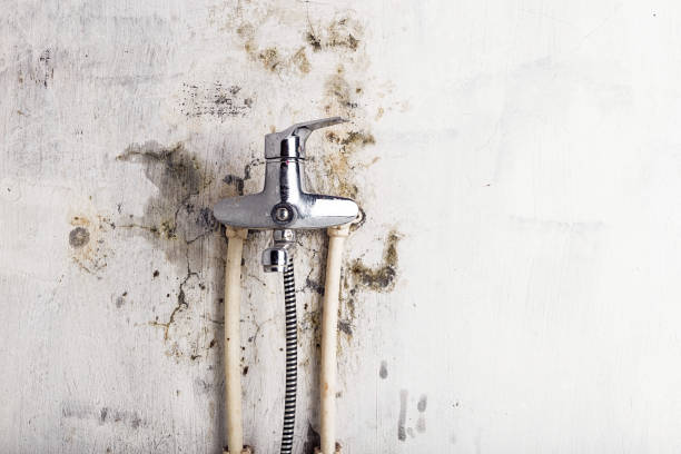 Best Residential Mold Removal  in Coing, AL